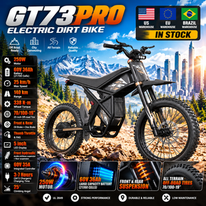 Moto tout-terrain électrique Ridingtimes GT73 PRO pour le marché américain, 750W, 30 MPH, batterie 60V 36Ah, vente en gros - Product Image 1