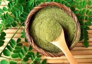 Polvo de Moringa Fino Hecho con Hojas de Moringa 100% Frescas en Vietnam - Product Image 2