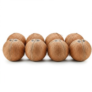 Venta al por mayor de cocos frescos de granja semi descascarillados o enteros disponibles para exportar a mercados globales con opción de envío rápido - Product Image 3