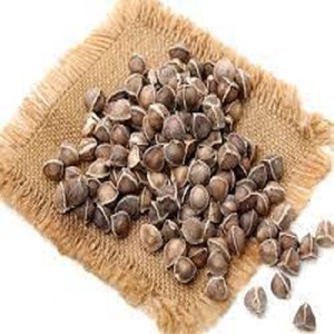 Graines de Moringa Sauvage, Approvisionnement Direct, Origine Afrique - Product Image 5