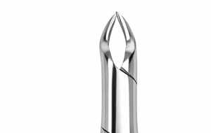 Pinzas de Extracción Dental de Raíz Superior, Instrumento Quirúrgico Reutilizable de Acero Inoxidable Pulido Manualmente, con Mangos Ergonómicos Texturizados - Product Image 5