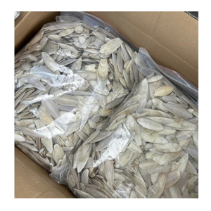 Fournisseur d'os de seiche séchée Nourriture naturelle fournie OEM pour animaux de compagnie Oiseaux Filles Chaussettes en filet à dentelle 10 à 12 ans Petit poisson Paquet OEM - Product Image 1