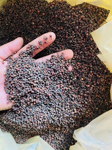 Poivre Sauvage Voatsiperifery de Madagascar Qualité Supérieure en Vrac Naturel Séché Poivre Noir VANILLE HARVEST 24 Herbes Simples Épices - Product Image 2