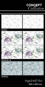 Collection Elite 12x18 (300x450mm) Carreaux muraux numériques mats Carreaux de céramique classiques modernes d'origine indienne pour murs intérieurs pour - Product Image 2