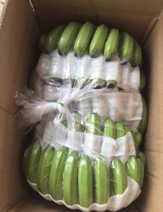 Vente en gros 100% pur naturel organique Cavendish banane vert frais avec goût sucré savoureux pour la nourriture - Product Image 4