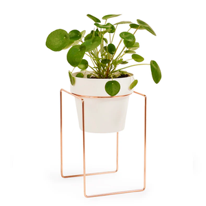 High Quality Gold, Black, Pink and Copper Metal Plant Stand and <b>Pot</b> Garden Supplies Planter <b>pots</b> - Product Image 2