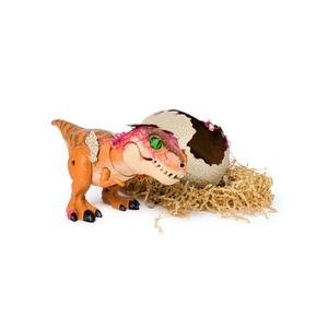 Trứng Nở nguyên thủy tương tác cho trẻ em cho những người yêu động vật và Khủng Long - Product Image 6