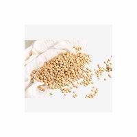 Exportateur de graines de soja biologique et OGM Farine de soja jaune en vrac pour l'alimentation animale Styles séchés et congelés en sacs