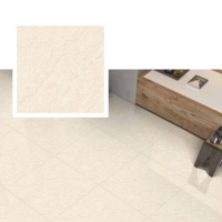 Carreaux extérieurs en céramique brillants 600x600mm, garantie 5 ans, design moderne, utilisation murale extérieure, antidérapants, briques réfractaires, ACCENTS, école, villa