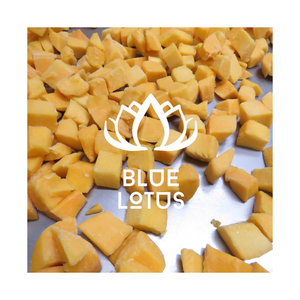 VENTE CHAUDE Mangue congelée IQF 2025 Vietnam Fruits tropicaux sucrés transformés Meilleur prix Exportation disponible de haute qualité - Product Image 1