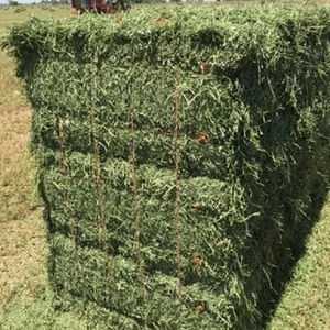 Wholesale High Quality Alfalfa <b>Hay</b> in <b>Bags</b> Bulk Prices for Cattle Feed Wholesale High Quality Alfalfa <b>Hay</b> in <b>Bags</b> Bulk For Sale - Product Image 1