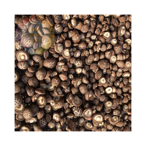 Champignons séchés en vrac à des prix concurrentiels-Produit naturel de haute qualité du Vietnam - Product Image 4