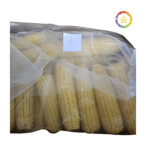 Maïs sucré surgelé (grains séparés) prêt à cuire, facile à traiter, prix de gros en vrac pour la vente au détail - Product Image 1