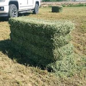 Alfafa Hay Animal <b>Feeding</b> Stuff Alfalfa, hay/alfalfa hay pellets - Product Image 5