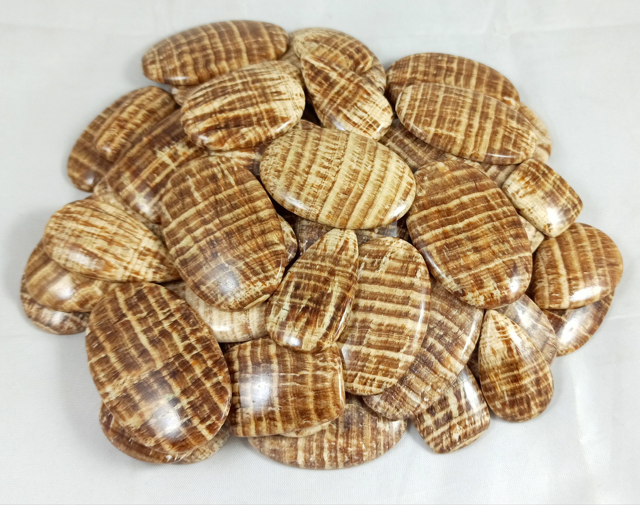 สีน้ำตาล