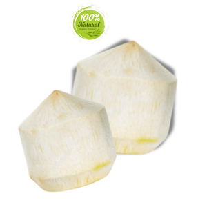 ประวัติศาสตร์การใช้เปลือกมะพร้าวปอกเปลือกเพชรสดทางยา - Product Image 6