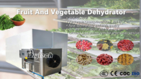 Multifunctionele groentedroger, dehydrator, druiven droogmachine