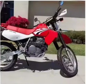 VENTA CALIENTE NUEVAS Motocicletas OMP 2024 XR650L - Product Image 6