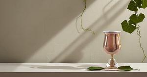 Copas de Martini de cobre bellamente hechas a mano, copa de Metal con acabado liso, capacidad para 8 onzas - Product Image 5