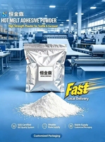 Poudre thermofusible DTF