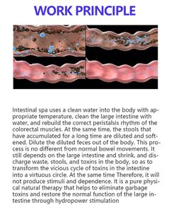 Système d'hydrothérapie colique avec fonction d'observation par caméra, élimination des déchets, nettoyage intestinal, détoxification et administration de médicaments - Product Image 4