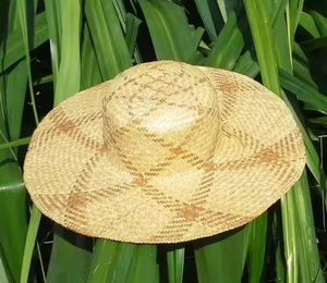 2025 verano Top One producto mujer sombrero de paja flexible de moda ecológico para negocios Casual y uso al aire libre Dragonex Vietnam - Product Image 2