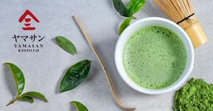 Venta al por Mayor de Té Verde Matcha Japonés Orgánico de la Más Alta Calidad en Polvo - Product Image 5