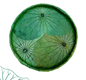 Bandeja de almacenamiento de hojas de loto ecológica hecha a mano, organizador natural de Vietnam - Product Image 3