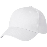 Gorra de béisbol de algodón de 5 paneles ajustable de alta calidad, gorra deportiva Vintage de dos tonos para hombres y mujeres con logotipo personalizado al por mayor