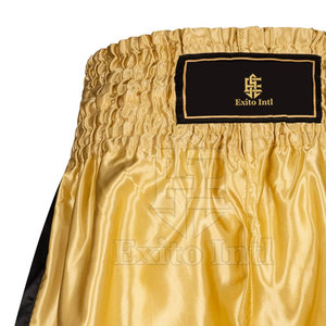 OEM servicio al por mayor nueva llegada personalizada hombres Muay Thai pantalones cortos Etiqueta Privada ropa de artes marciales - Product Image 4