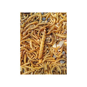 Gusanos de harina secos ecológicos naturales de primera calidad para alimentos de animales alimentos para mascotas - Product Image 6