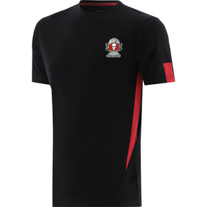 Maillot de football GAA 100 % polyester, léger, séchage rapide, design uni, manches courtes, logo avant, service OEM disponible - Product Image 1
