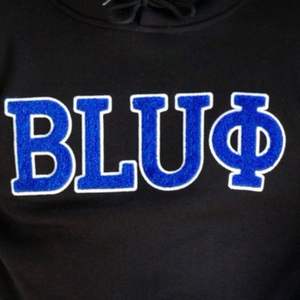 Phi Beta Sigma BLUE Chenille Hoodie Royal Blue Soft Cotton Fleece Greek Life Fraternity Pullover Hoody con bolsillo de canguro - Product Image 5