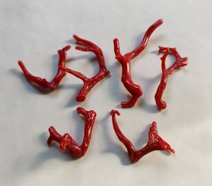 Palo de coral rojo italiano natural genuino, palo pulido de coral rojo italiano natural 100%. Palo de Coral Brillante Pulido, Palo de Coral - Product Image 3