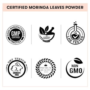 Extracto de hoja de Moringa a granel al por mayor, polvo de hoja de Moringa orgánico a granel | 100% polvo de extracto de hoja de Moringa orgánico Natural puro - Product Image 5