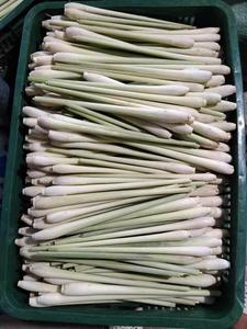 Vietnam Tropical Citronnelle congelée IQF Coupe entière et hachée pour l'exportation en vrac Fourniture d'herbes en gros - Product Image 4