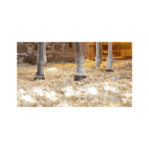 MAYOR MAQUILLAS DE MADERA + ASERRERO - Product Image 3