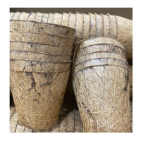 Pot de noix de coco fort belle jardinière en pot de coco adapté aux fleurs herbes légumes parfait pour le jardin balcon maison patio