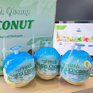 Coco Fresco Joven de Primera Calidad, con Cáscara Entera, Forma de Diamante, Piel Verde, 70-90 Días de Vida Útil, Calidad de Exportación Ben Tre - Product Image 1