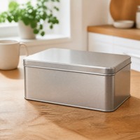 Boîte en fer blanc rectangulaire personnalisée avec logo, boîte de rangement en métal, couvercle à enfiler en argent brossé pour emballage de thé, café, bonbons, cadeaux