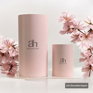 Maceta de acero inoxidable de estilo de lujo Maxery American Vintage Morden, Plata ligera con recubrimiento en polvo, tamaño personalizado directo - Product Image 4