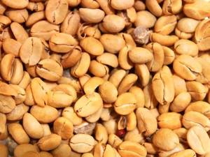 Café Arábigo Tostado de Vietnam, Precio al por Mayor, Gran Cantidad, Directo de Fábrica, Café Fuerte, OEM, Aroma Rico a Chocolate, Exportación - Product Image 2