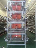 Système de cages en fil métallique galvanisé à chaud pour poulets avec équipement d'alimentation et d'abreuvement pour grandes exploitations avicoles