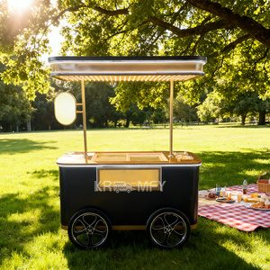 Exhibidor de Gelato y Helados para Venta Ambulante, Carrito de Comida Móvil, Kiosco de Calle - Product Image 1
