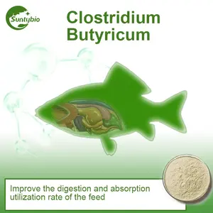 Clostridium butyricum для животных, пробиотик крупного рогатого скота