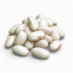 Mantequilla Blanca Seca a Granel de Alta Calidad - Product Image 1