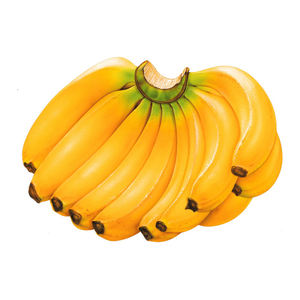 Plátano semimaduro, fruta fresca y firme de color amarillo para distribución al por mayor, envasado minorista y envíos de exportación - Product Image 4
