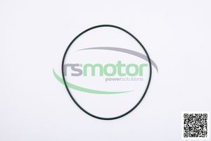 Joint torique pour RS-02092097 MWM pour pièces de moteur de machines - Product Image 4