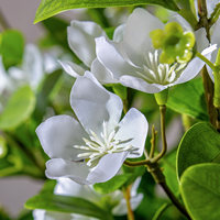 Künstlicher Blütenbaum mit Weißen Blüten, Seidenblättern in Echt-Optik, Zwei Stämme, Großformatig für Hotel, Restaurant, Gewerbliche Dekoration, Großhandel