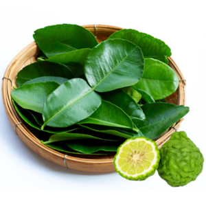 Feuilles de citron vert séchées vietnamiennes Makrut Kaffir Leaf Wholesale Export - Product Image 4